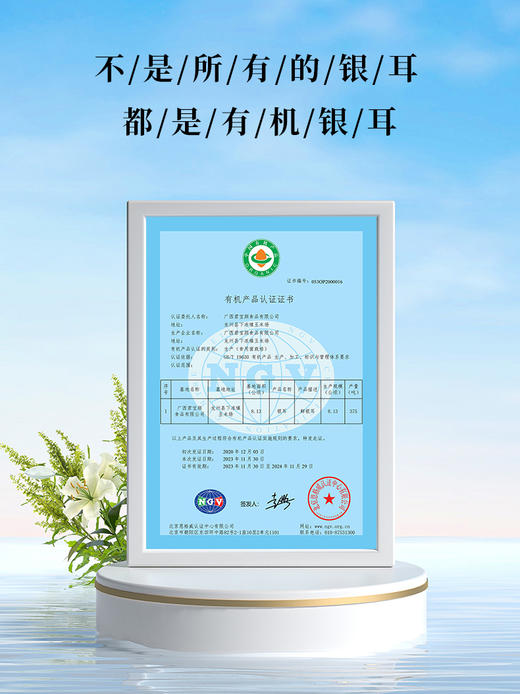 猫千岁雪梨银耳鲜炖 秋季润养有机银耳 软糯微甜 每一口都是享受 商品图4