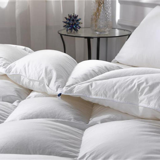 远梦霍尔多巴吉白鹅绒被 商品图2