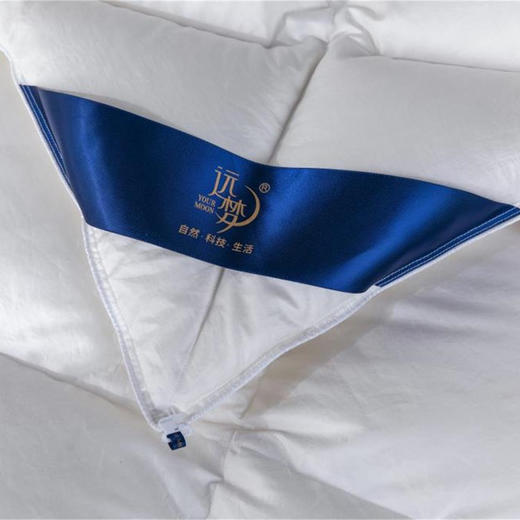 远梦霍尔多巴吉白鹅绒被 商品图4