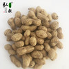 【弘毅六不用生态农场】六不用带壳花生 干花生 （生） 商品缩略图1