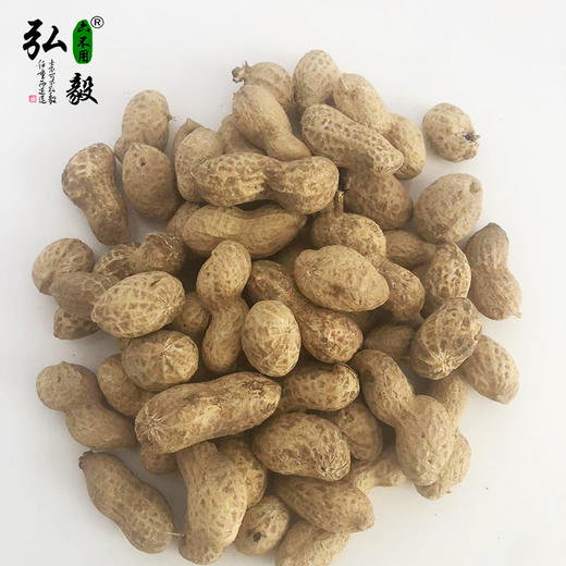 【弘毅六不用生态农场】六不用带壳花生 干花生 （生） 商品图1