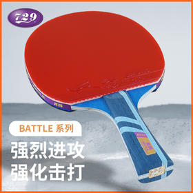 友谊729 奔腾系列乒乓球拍