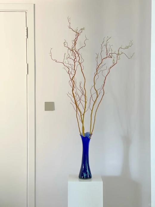 精品造型花材金龙柳5支特惠 商品图8