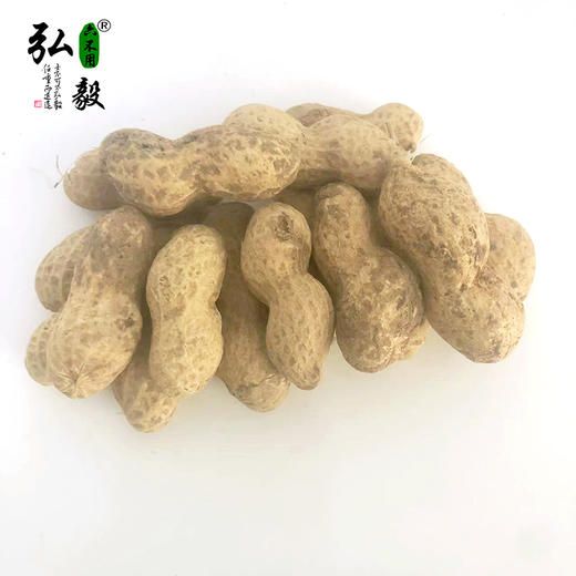 【弘毅六不用生态农场】六不用带壳花生 干花生 （生） 商品图2