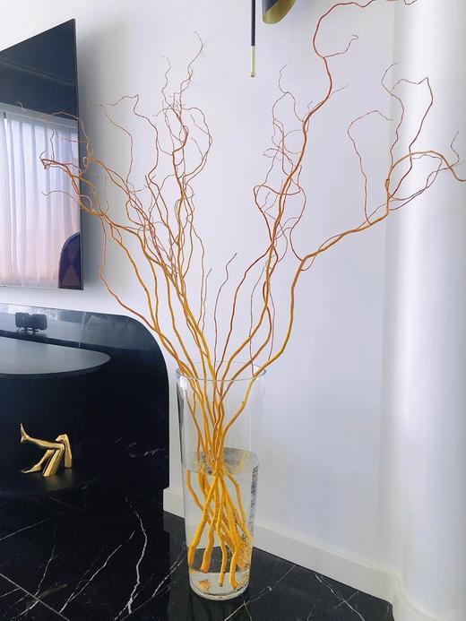 精品造型花材金龙柳5支特惠 商品图2