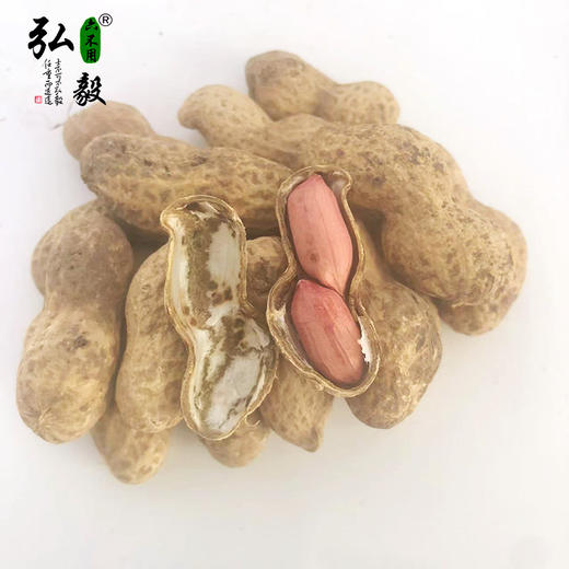 【弘毅六不用生态农场】六不用带壳花生 干花生 （生） 商品图3
