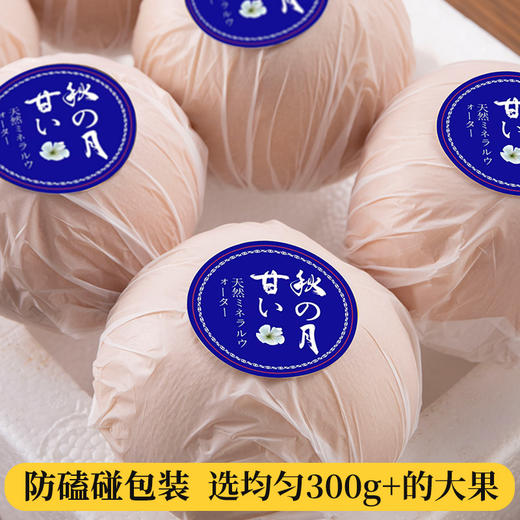 山东莱西秋月梨 现采现摘 产地直发 顺丰包邮 商品图3