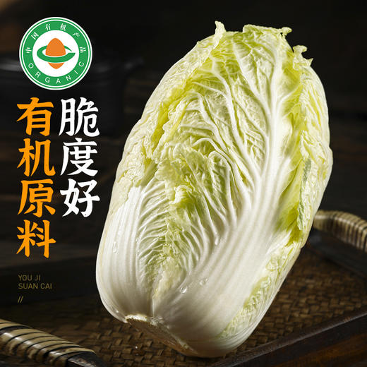 东北有机酸菜自制乳酸菌发酵大白菜酸菜特产酸白菜酸菜馅饺子 商品图1