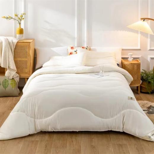 远梦澳洲当恩斯羊毛智暖被 商品图0