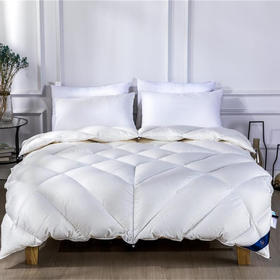 远梦霍尔多巴吉白鹅绒被