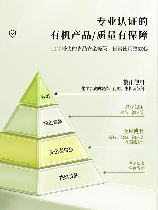 猫千岁雪梨银耳鲜炖 秋季润养有机银耳 软糯微甜 每一口都是享受 商品图3
