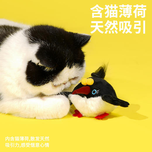 zeze翠鸟蓝眼鸟发声玩具-B （包邮） 商品图1