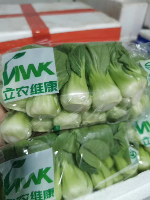 上海青 商品图1