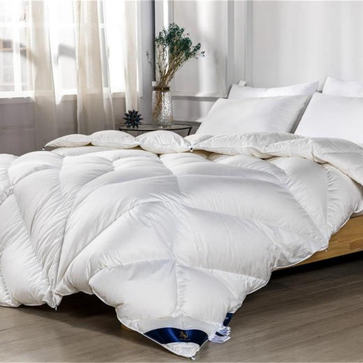 远梦霍尔多巴吉白鹅绒被 商品图1