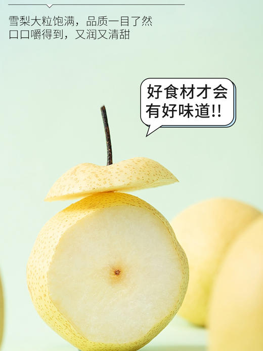 猫千岁雪梨银耳鲜炖 秋季润养有机银耳 软糯微甜 每一口都是享受 商品图6