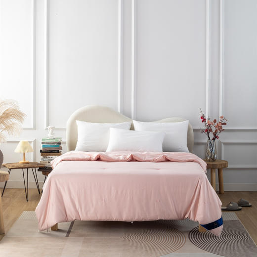 【远梦】绢丝白玉纯桑蚕丝被 商品图1