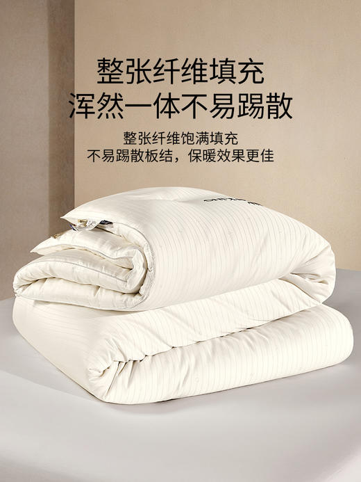 佳丽斯冬被子大豆纤维被加厚保暖A类正品旗舰店新款被芯四季通用 商品图7