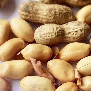 【蜜饯精选】柴火铁锅花生 正宗柴火大铁锅炒制 配料表只有花生 坚持老师傅手工翻炒 粒粒饱满 香脆可口 商品图2