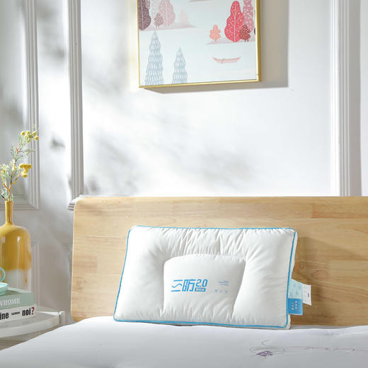 【远梦】三防洁净定型枕 / 呵护枕 / 儿童枕 商品图2