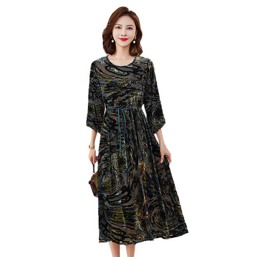 丁摩 真丝绒连衣裙新款春秋桑蚕丝植绒裙子女4ZF-2403 商品图4