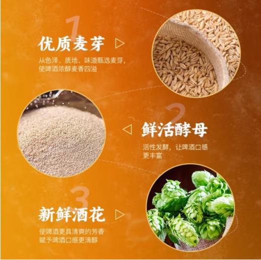 泸州老窖百调精酿啤酒 全麦酿造 980mL*4瓶 商品图2