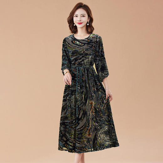 丁摩 真丝绒连衣裙新款春秋桑蚕丝植绒裙子女4ZF-2403 商品图2