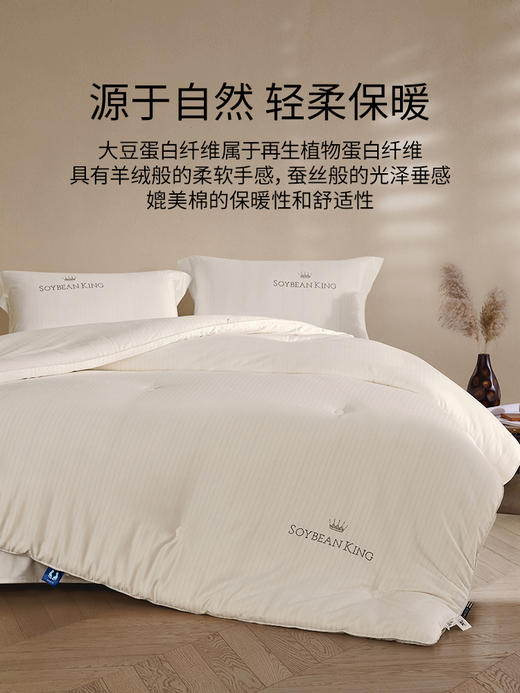 佳丽斯冬被子大豆纤维被加厚保暖A类正品旗舰店新款被芯四季通用 商品图3