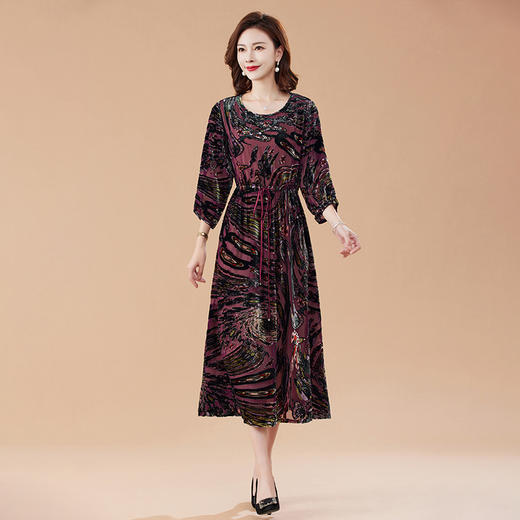 丁摩 真丝绒连衣裙新款春秋桑蚕丝植绒裙子女4ZF-2403 商品图3