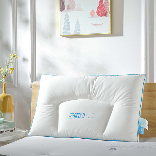 【远梦】三防洁净定型枕 / 呵护枕 / 儿童枕 商品图3