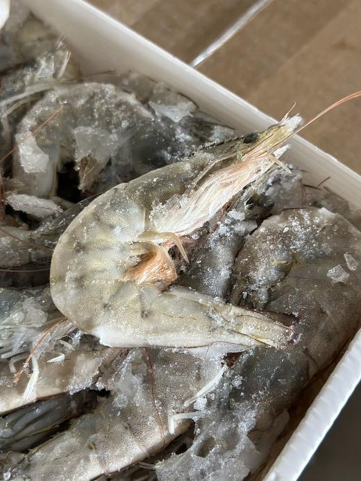 【青岛海捕大虾】优质健康蛋白质——青岛大虾，无法抗拒的美食诱惑！【现货，下单48小时发货，特殊情况顺延，青岛发货】一盒毛重4斤，净重1.7公斤左右 商品图0