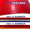友谊729 奔腾无极乒乓球套胶 差色海绵反胶粘性专业单片 商品缩略图1