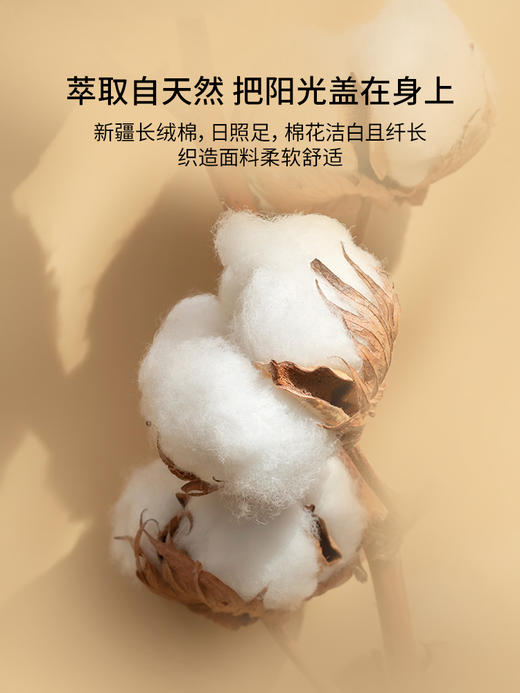 佳丽斯60支全棉四件套贡缎被套纯棉床单床上用品床笠款轻奢高级感 商品图4