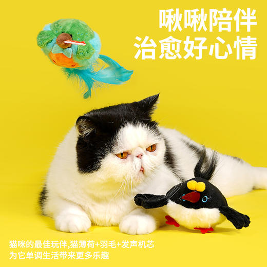 zeze翠鸟蓝眼鸟发声玩具-B （包邮） 商品图4