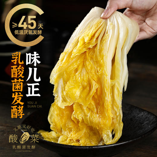 东北有机酸菜自制乳酸菌发酵大白菜酸菜特产酸白菜酸菜馅饺子 商品图2