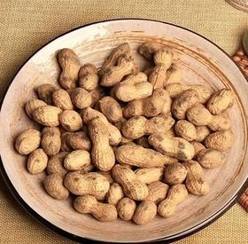 【蜜饯精选】柴火铁锅花生 正宗柴火大铁锅炒制 配料表只有花生 坚持老师傅手工翻炒 粒粒饱满 香脆可口