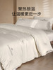 佳丽斯冬被子大豆纤维被加厚保暖A类正品旗舰店新款被芯四季通用 商品缩略图6