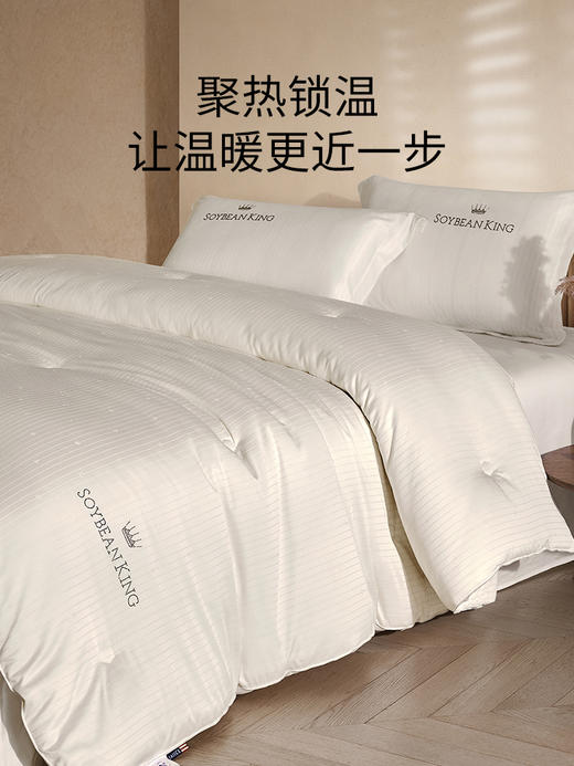 佳丽斯冬被子大豆纤维被加厚保暖A类正品旗舰店新款被芯四季通用 商品图6