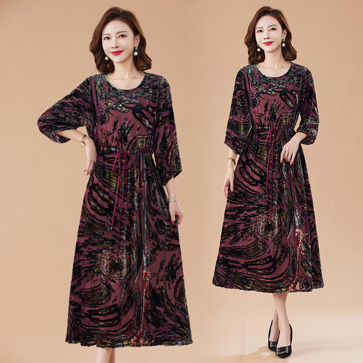 丁摩 真丝绒连衣裙新款春秋桑蚕丝植绒裙子女4ZF-2403 商品图1