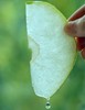 【限量秒杀】玉露香梨，肉质酥脆 ，汁水足，天上蟠桃宴，人间玉露香 商品缩略图5