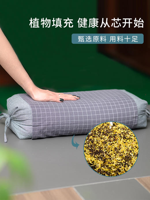 怀菊花荞麦枕  以正宗怀菊和优质甜荞麦填充   天然的助眠神器  安睡一整夜 商品图0