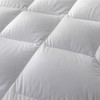 远梦霍尔多巴吉白鹅绒被 商品缩略图5