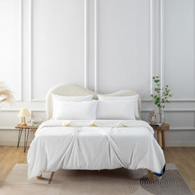 【远梦】绢丝白玉纯桑蚕丝被