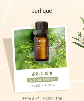 茱莉蔻茶树香薰油