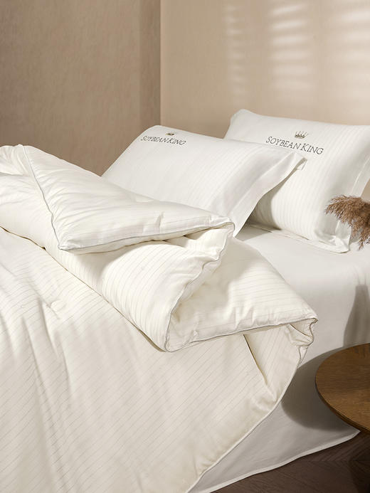 佳丽斯冬被子大豆纤维被加厚保暖A类正品旗舰店新款被芯四季通用 商品图8