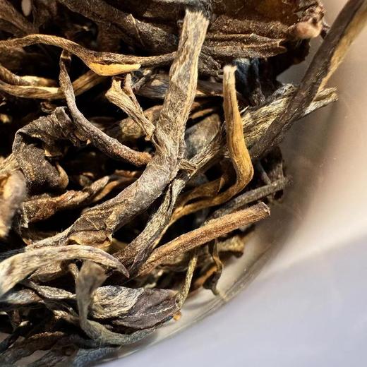 2014年春  昔归 忙麓山古树 普洱生茶 80克起 商品图2