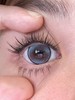 skeye半年抛美瞳 害羞蝶豆花 14.5mm 商品缩略图0
