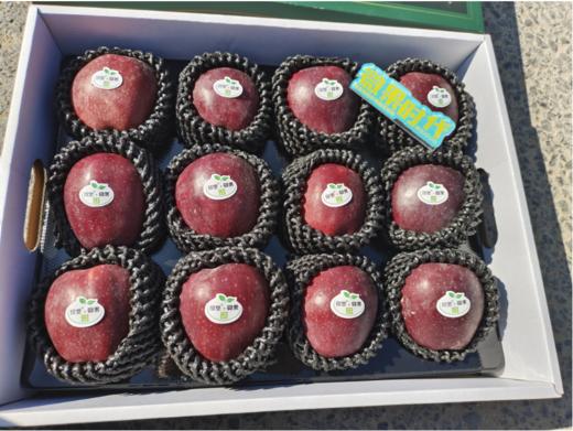 花牛苹果一箱 商品图3