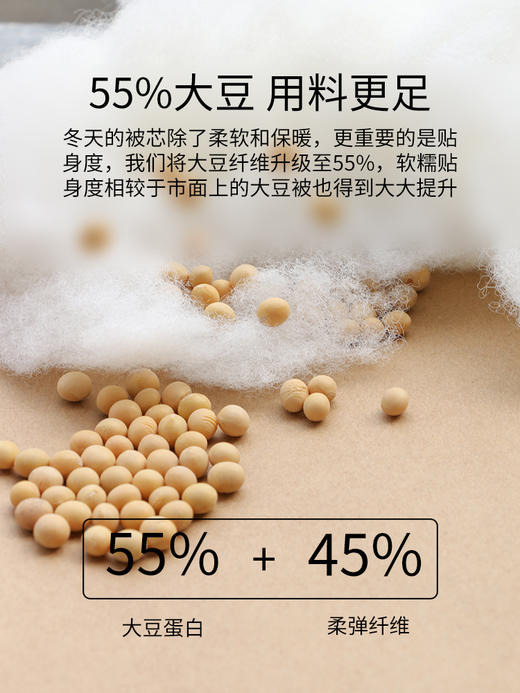 佳丽斯冬被子大豆纤维被加厚保暖A类正品旗舰店新款被芯四季通用 商品图2