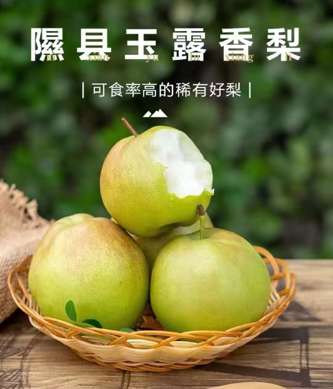 【限量秒杀】玉露香梨，肉质酥脆 ，汁水足，天上蟠桃宴，人间玉露香