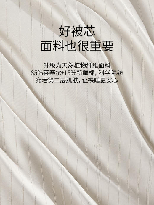 佳丽斯冬被子大豆纤维被加厚保暖A类正品旗舰店新款被芯四季通用 商品图4